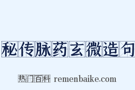 秘传脉药玄微造句是什么意思的图片